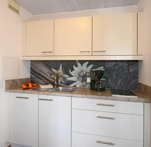 Apartamento Haus Panorama *